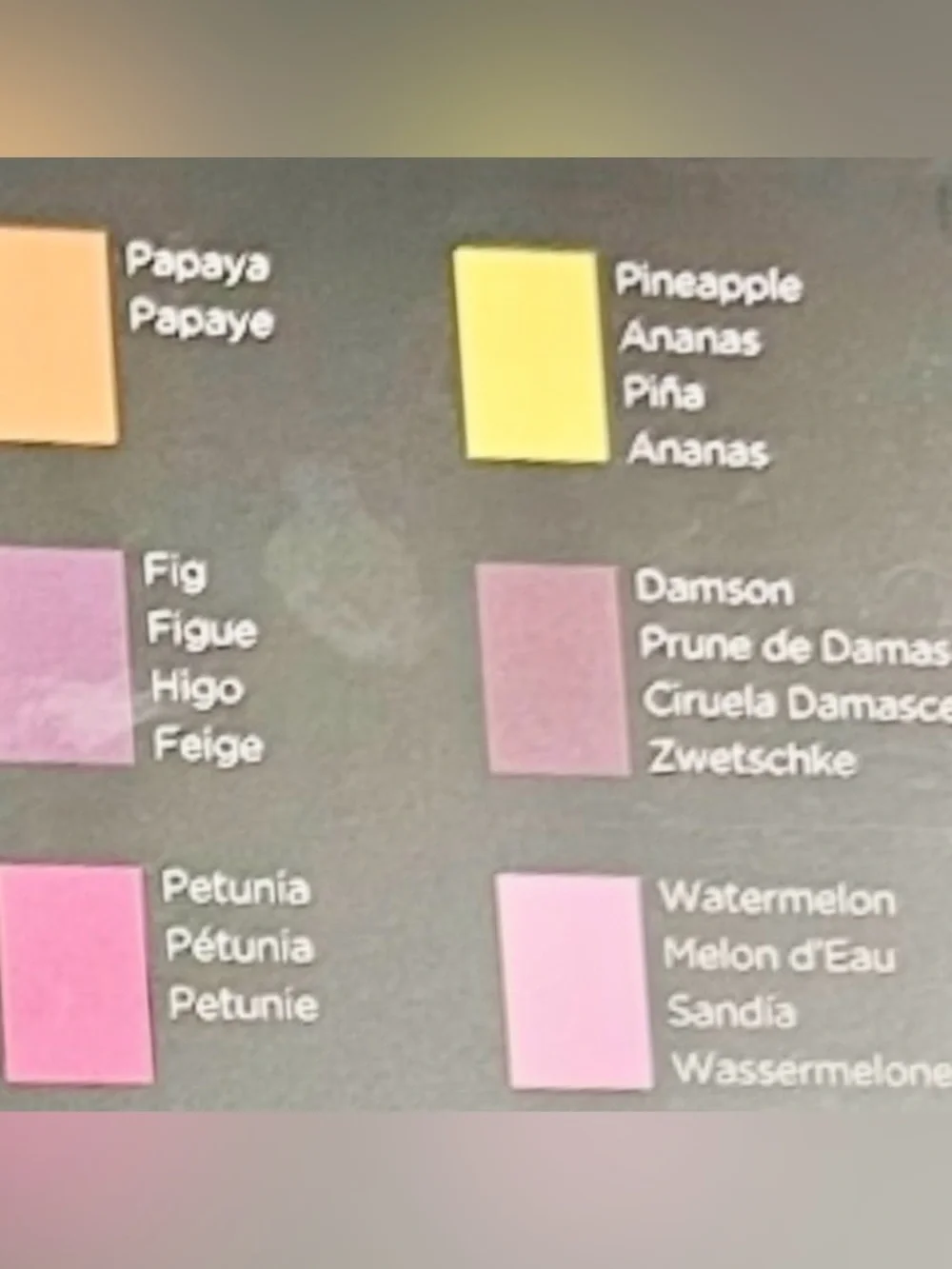 NEW AND SEALED AquaBlend by Spectrum Noir 24pc Watercolour Pencil Set - FLORALS